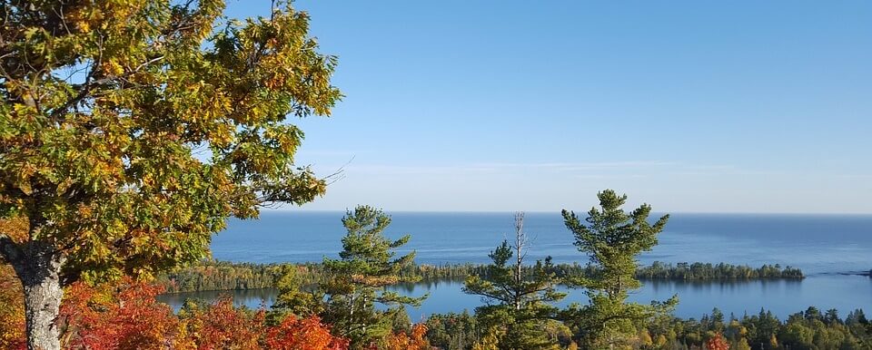 View in the lake